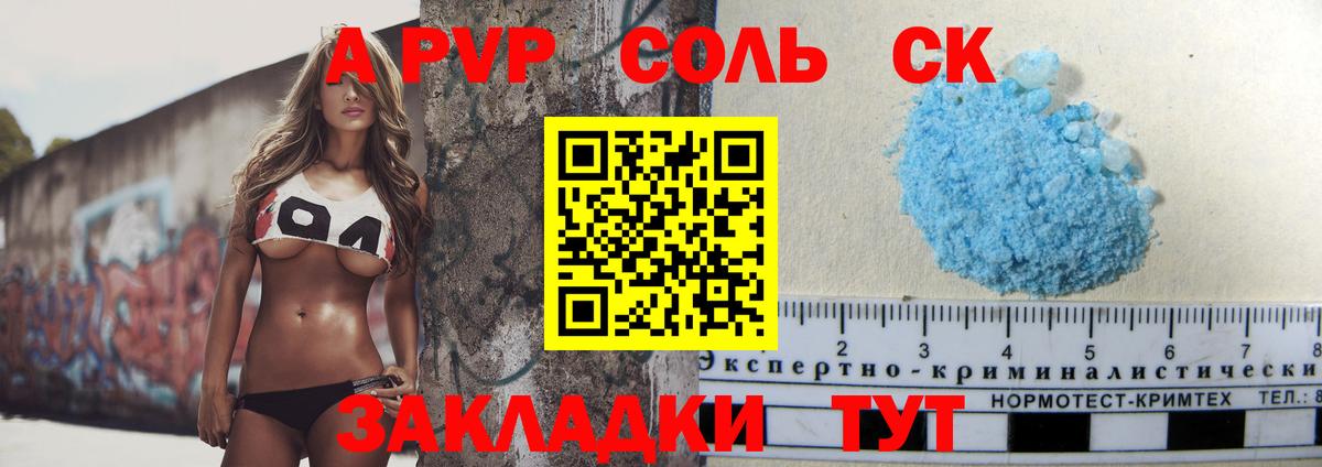 Альфа ПВП СК Кисловодск