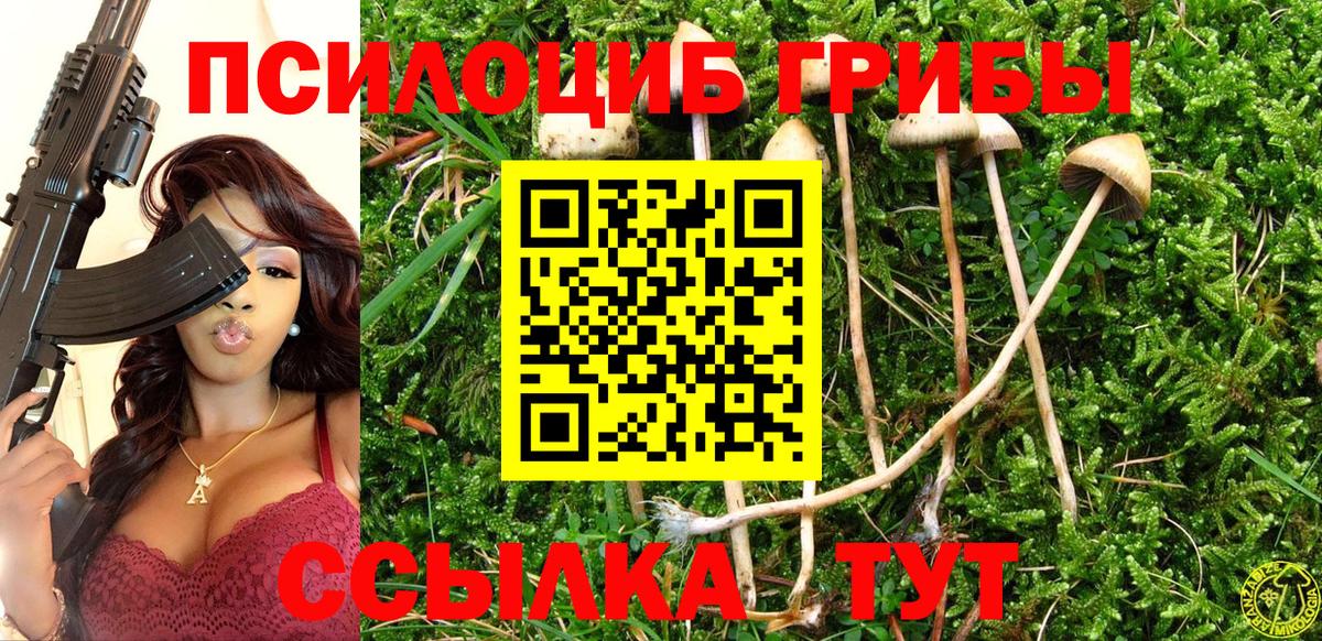 Галлюциногенные грибы Psilocybine cubensis Кисловодск