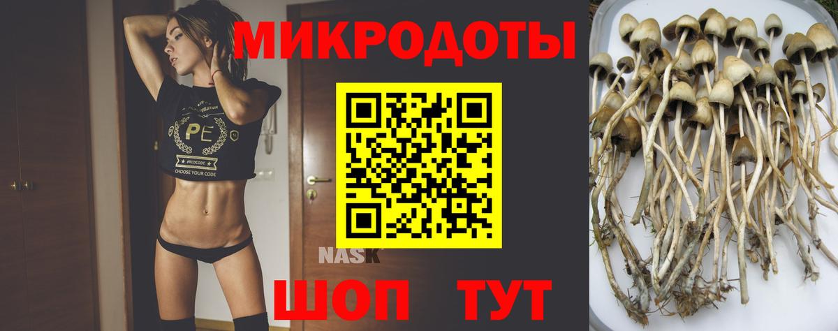 Галлюциногенные грибы GOLDEN TEACHER  Вход с VPN  Кисловодск 